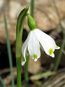 2011-04-03, Polenztal (10)